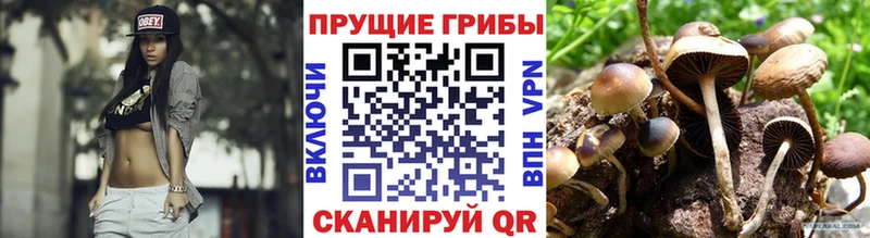 Галлюциногенные грибы прущие грибы Россошь